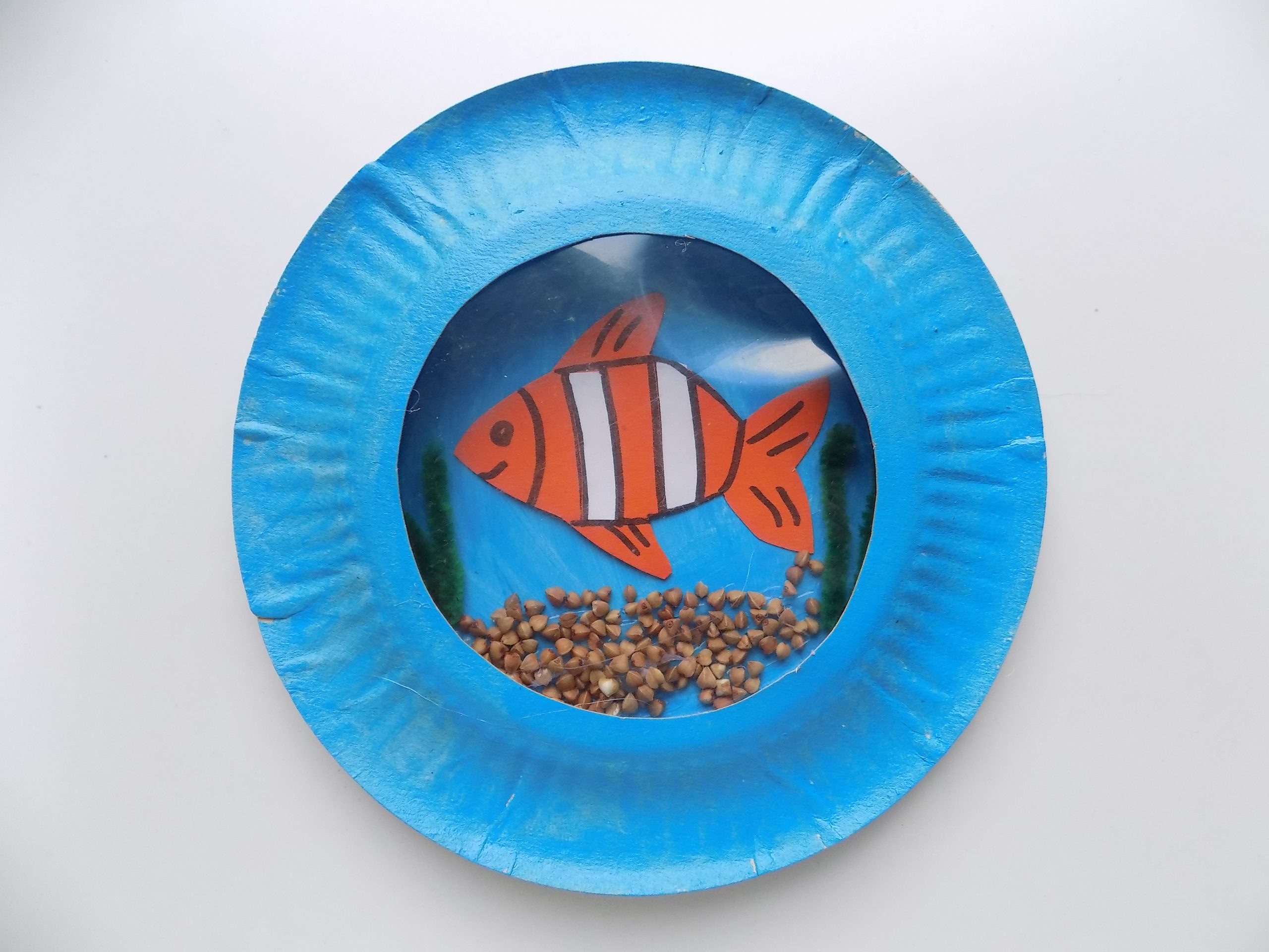 Рыбка из бумаги аквариум. Рыбка из бумажной тарелки. Аквариум из одноразовых тарелок. Поделка аквариум с рыбками. Аквариум из бумажной тарелки.